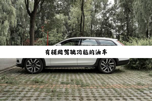 有辅助驾驶功能的油车