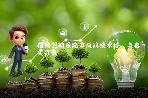 辅助驾驶系统市场的技术博弈与真实价值
