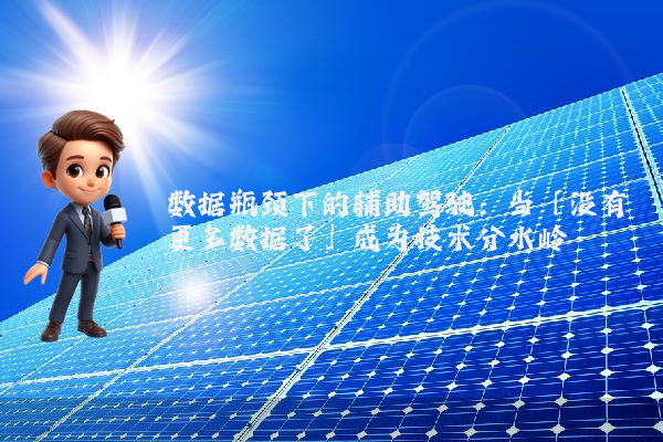 数据瓶颈下的辅助驾驶：当「没有更多数据了」成为技术分水岭