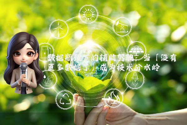 数据瓶颈下的辅助驾驶：当「没有更多数据了」成为技术分水岭